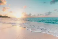 Travel Destination